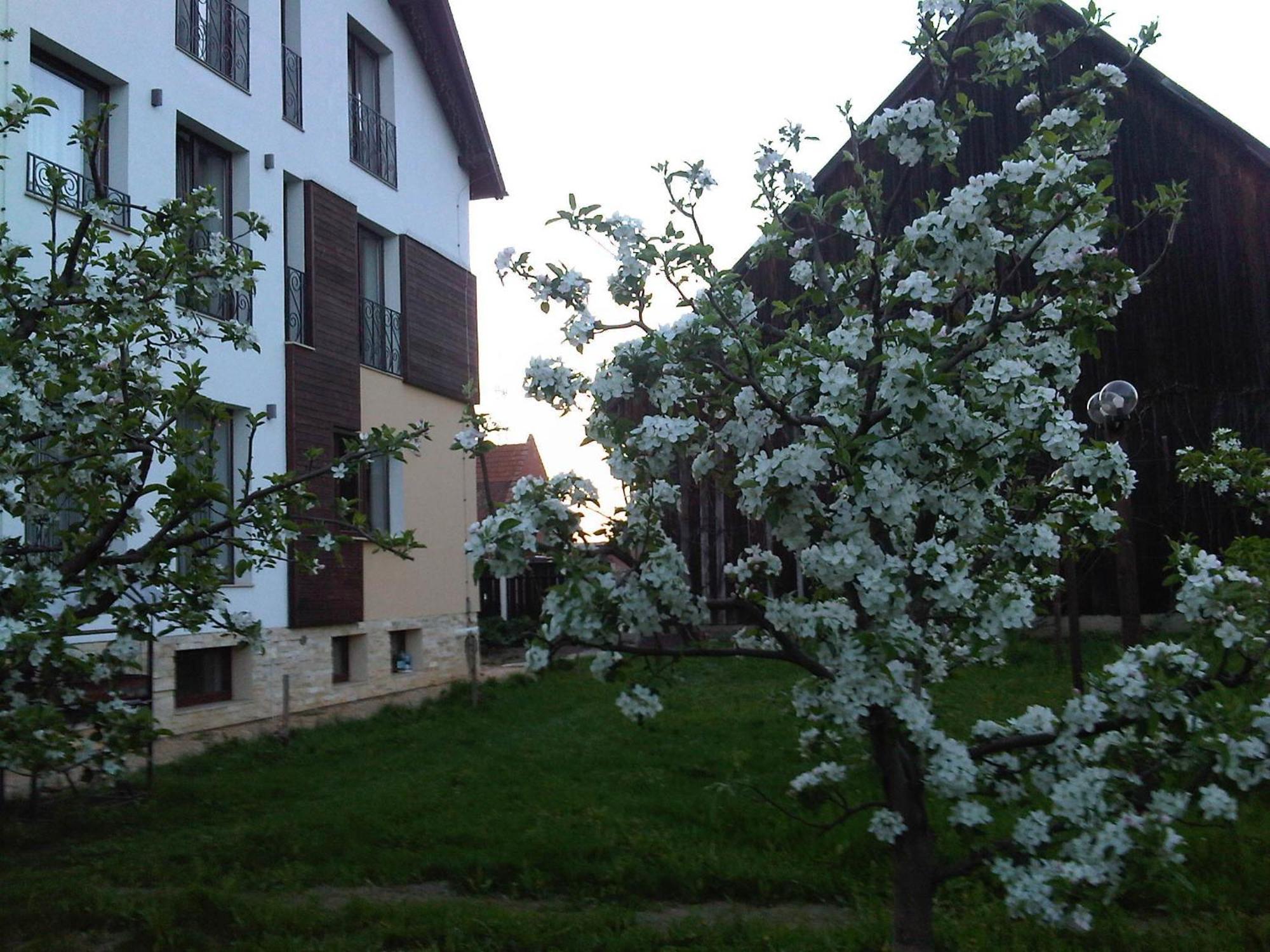 Gasthof Stupina 3*