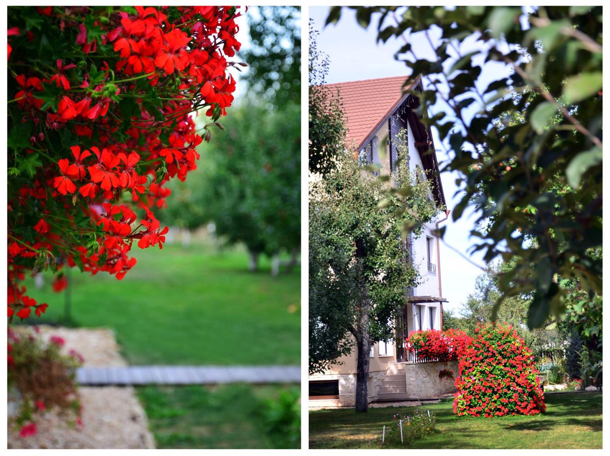 Gasthof Stupina